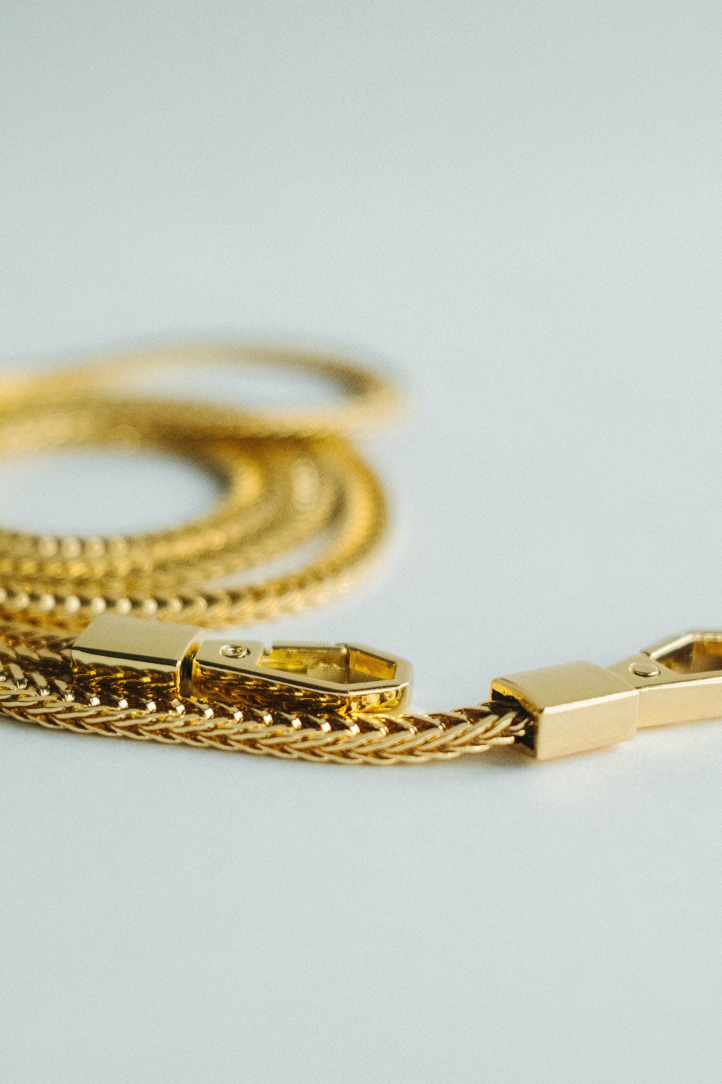 Snake Chain Crossbody